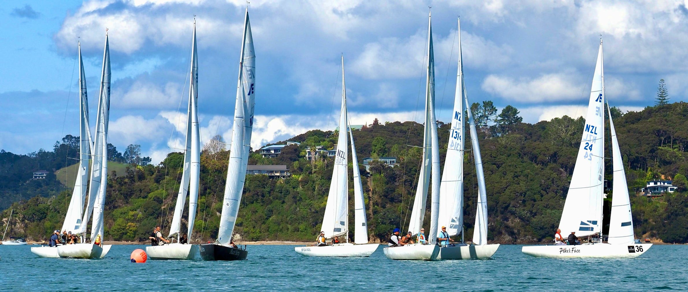 Etchells racing at Russell Boating Club - Russell - New Zealand